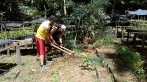 Restoring the seed-beds