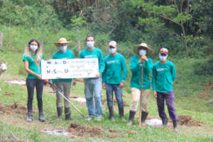 And - months later - we're reforesting the world!