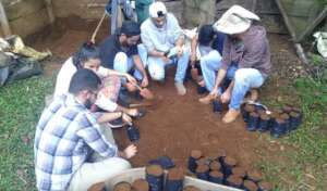 Iracambi memories....