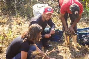 The Seed Collectors