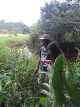 Visit with reforestation in mind