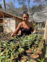 Discover the magic of our nursery