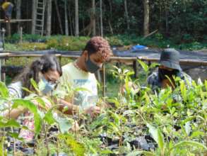 Local volunteers helping in the nursery