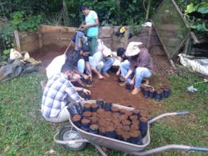 Limeira Volunteers