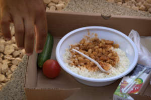 food distribution
