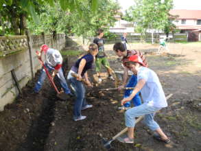 Community work in progress 2