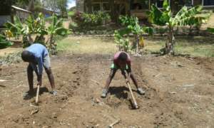 Children preparing their shamba