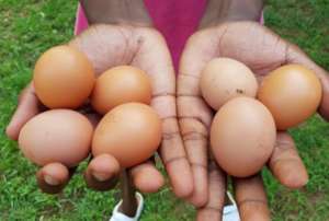 Eggs for sale