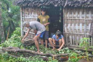 Ketut after school, preparing to feed their cows