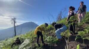 Students planting trees at Bukit Saab, Mt. Abang