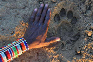 Maasai Olympics - Protecting Lions