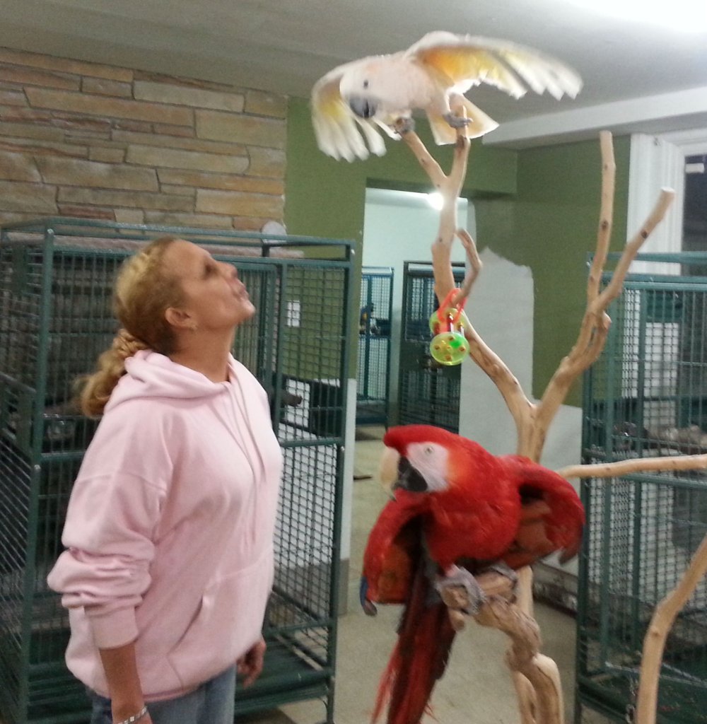 Help Build Outdoor Aviaries for 100 Parrots in NJ - GlobalGiving - Parrot Conservation Centers With Large Aviaries