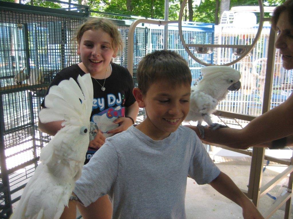 Picture of Help Build Outdoor Aviaries for 100 Parrots in NJ - GlobalGiving