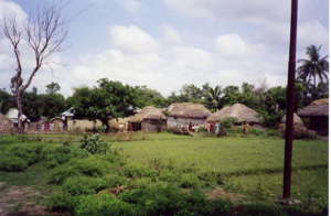 The Village currently we are working