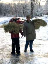 A little hay for after the work-out