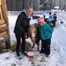 Collect your horse from the paddock