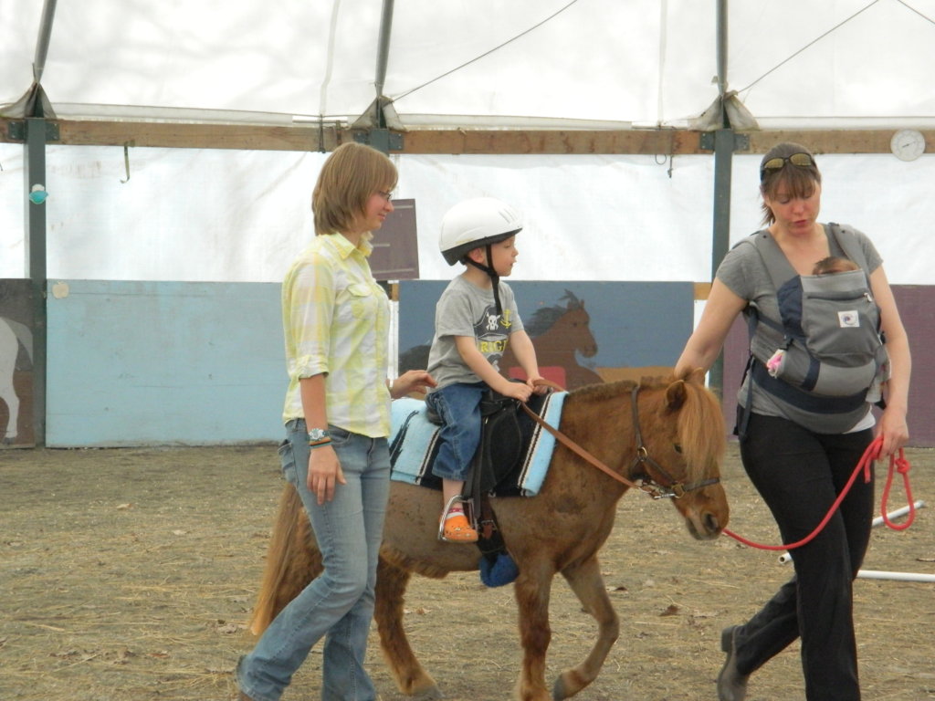 All Equine Services Free to Clients at BITS ETC