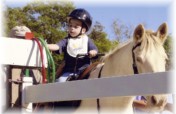All Equine Services Free to Clients at BITS ETC