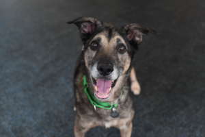 Hunter Smiles