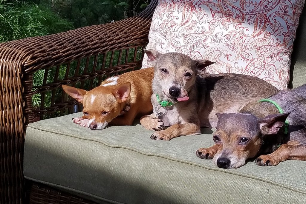 Lounging