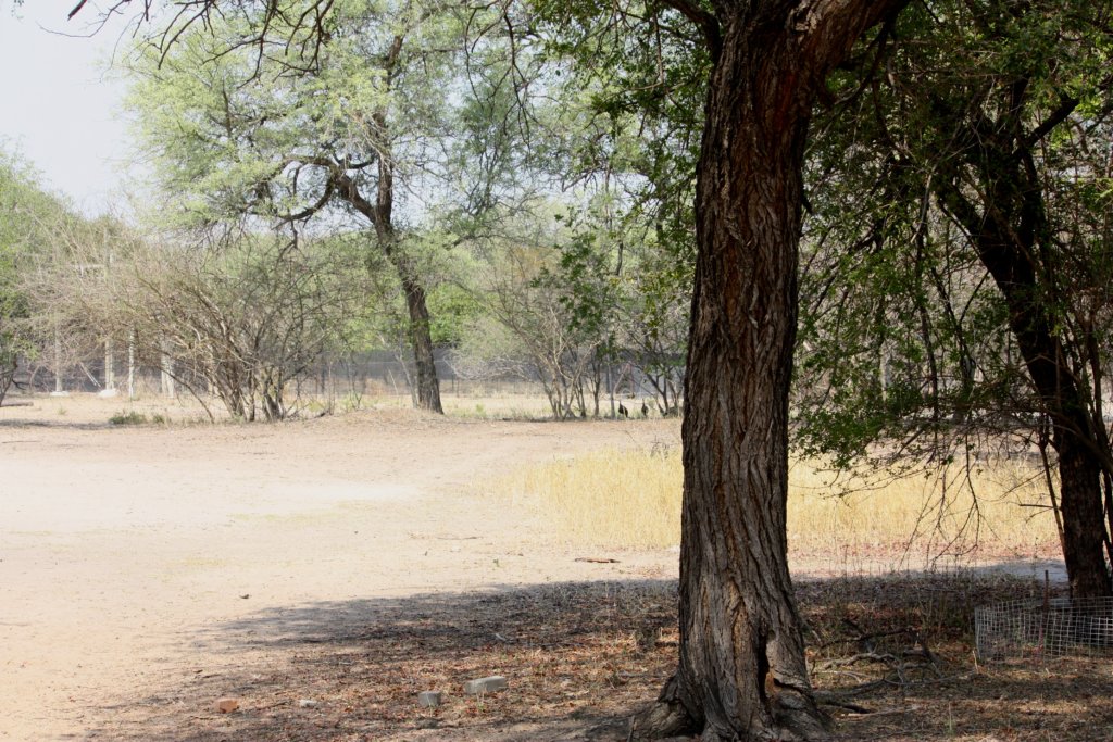 Drought relief for the farm
