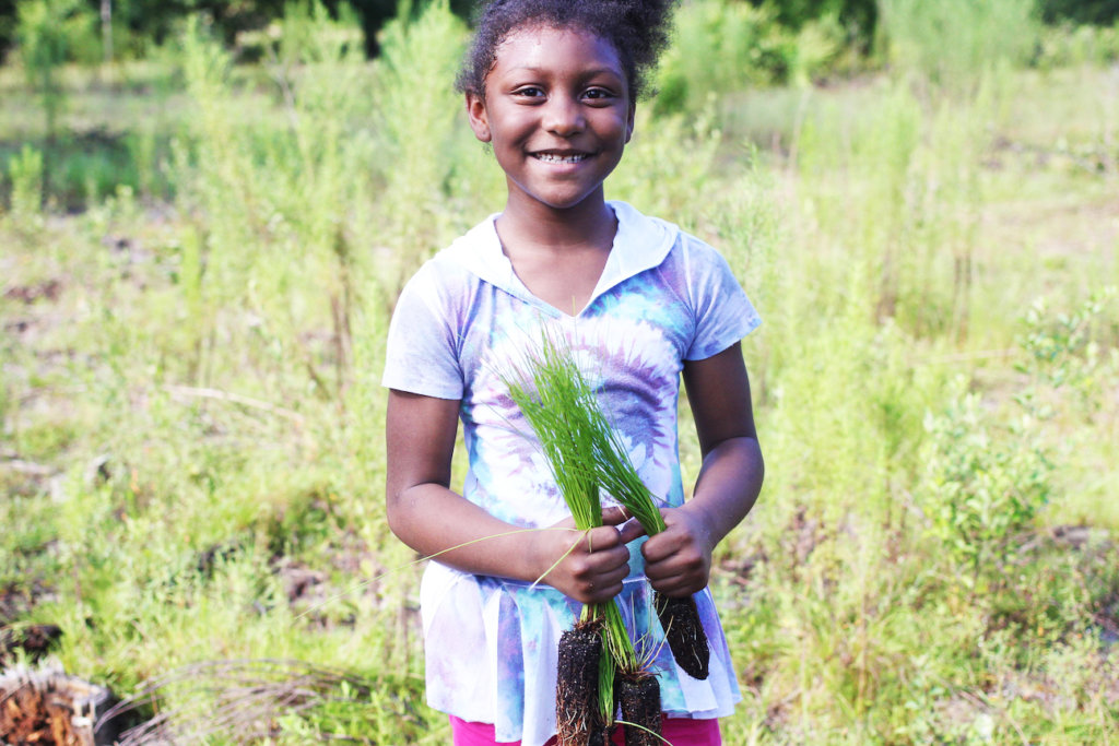 Help Us Plant 10,000 Longleaf Pine Trees in 2017