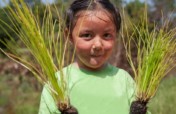 Help Us Plant 10,000 Longleaf Pine Trees in 2017