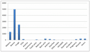 Graph 2. Patients per ailment 2/2016 - 2/2017