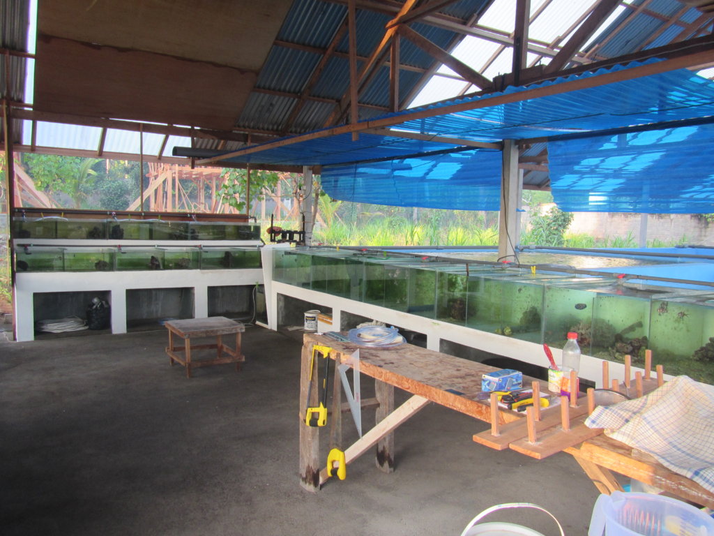 Help communities through sustainable aquaculture