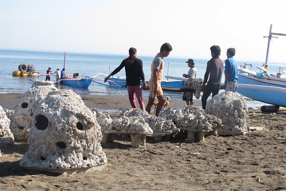 Help communities through sustainable aquaculture