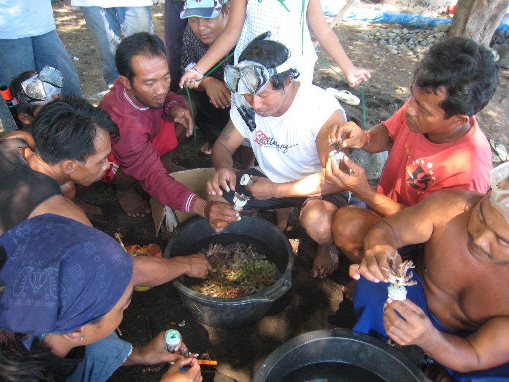 Help communities through sustainable aquaculture