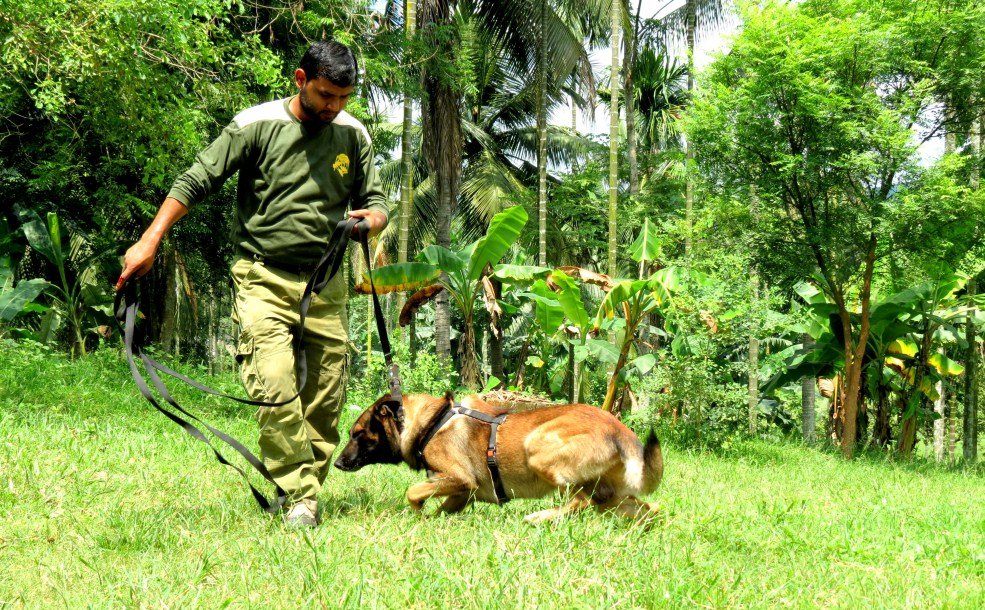 New Anti-poaching dog for Assam
