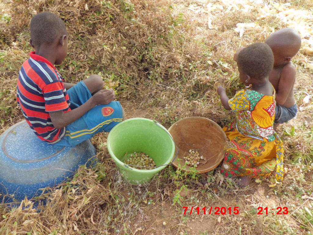 Bring Clean Water to 1000 Ghanaian Villagers