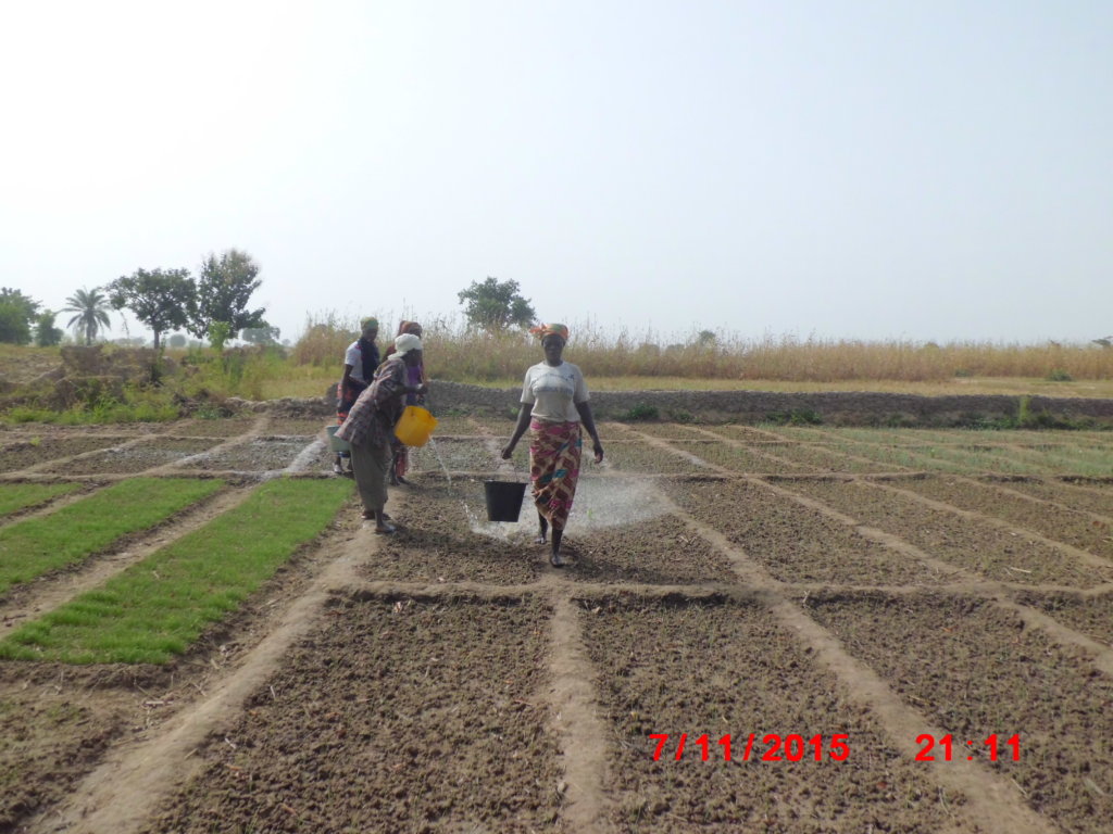 Bring Clean Water to 1000 Ghanaian Villagers