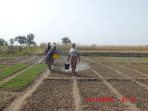 At a vegetable garden