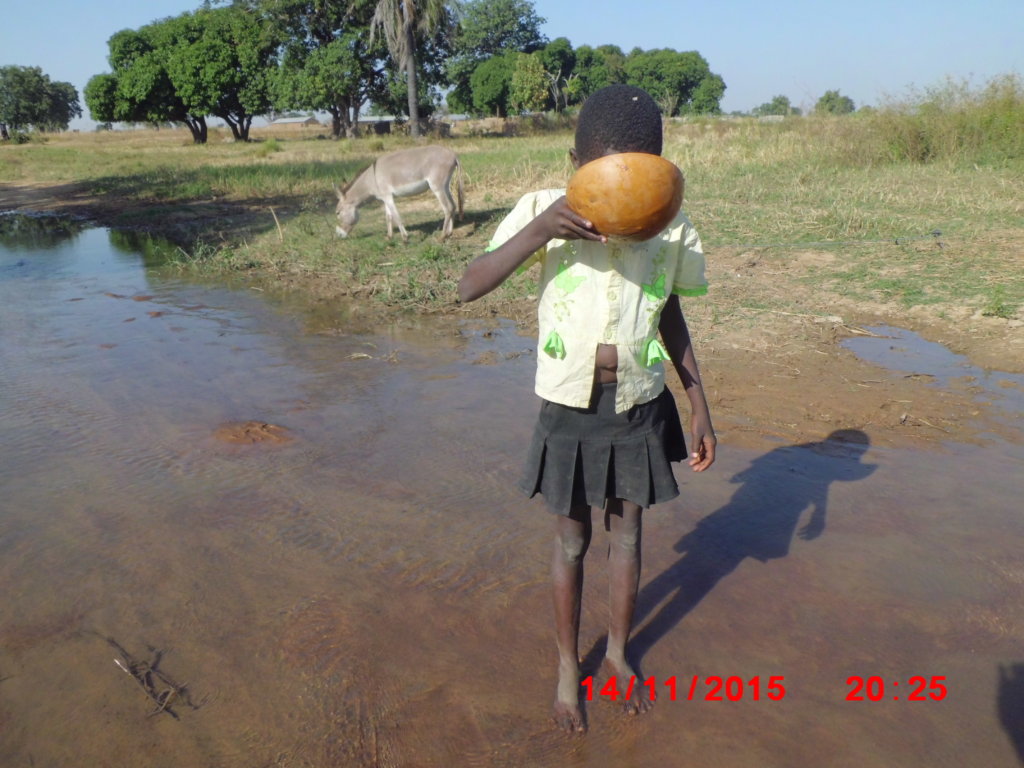 Bring Clean Water to 1000 Ghanaian Villagers