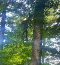 Frank, at Gunstock