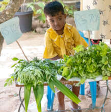 My mothers home-grown vegetables