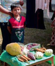 Some organic home grown vegetables for you