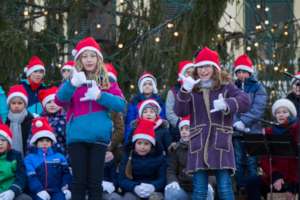 Merry Christmas in sign language