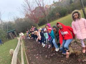 Camp fun