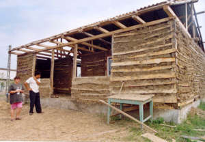 Building houses (2)