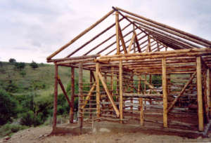 Building houses