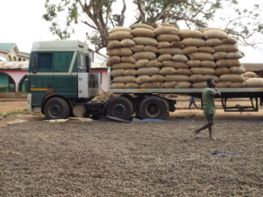 Packed and ready for export.