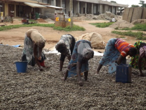 Checking over a recent cashew harvest