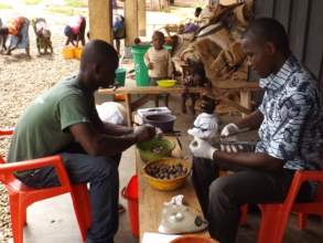 External quality-control of cashew nuts.