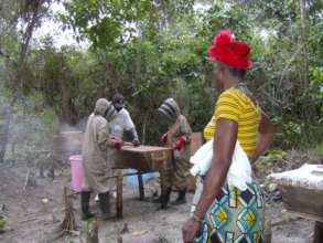 Beekeepers at work