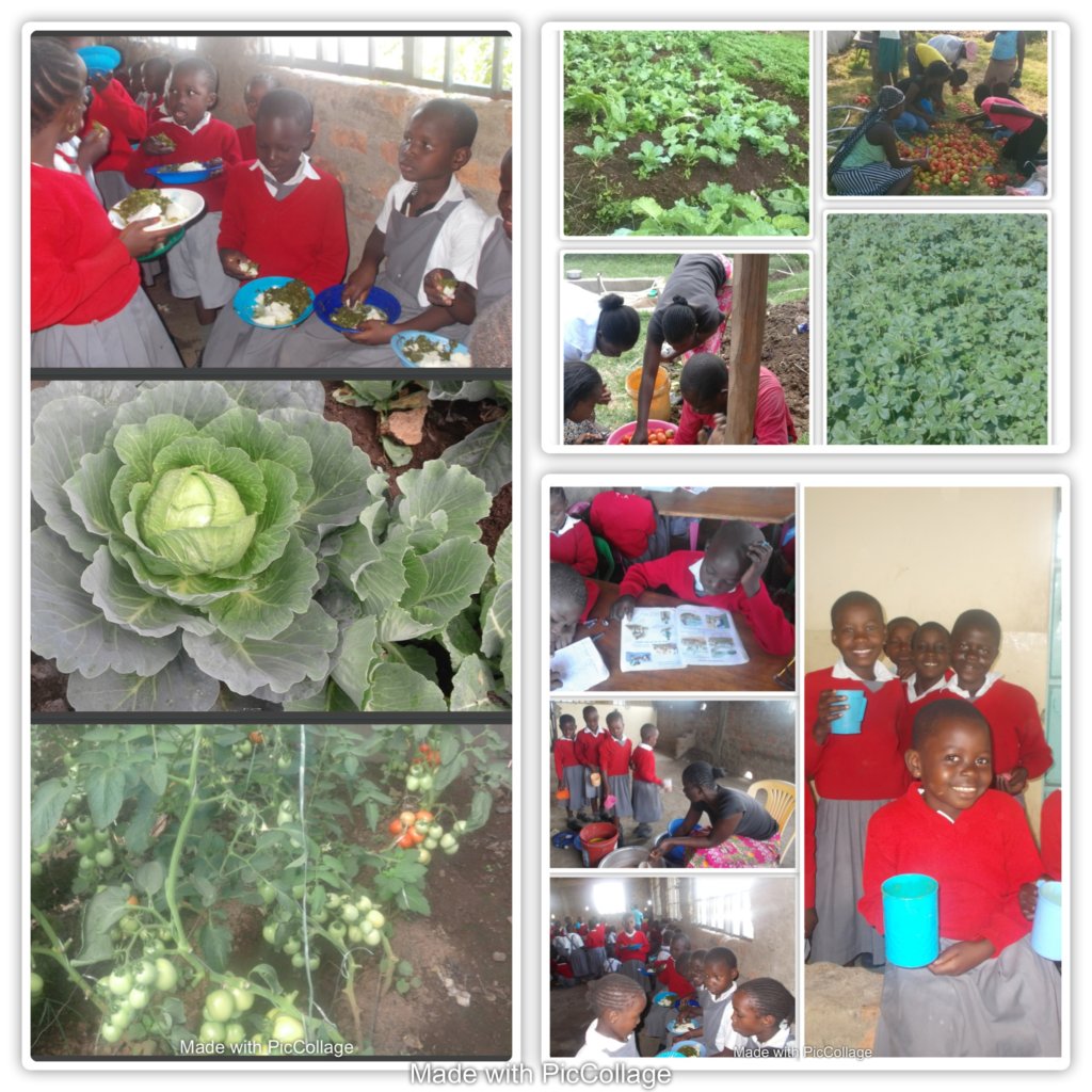 Provide clean water for Akili Girls School, Kenya