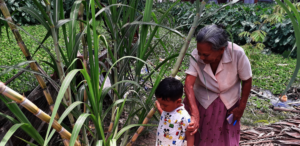 Rosita showing her grandson plants in her garden