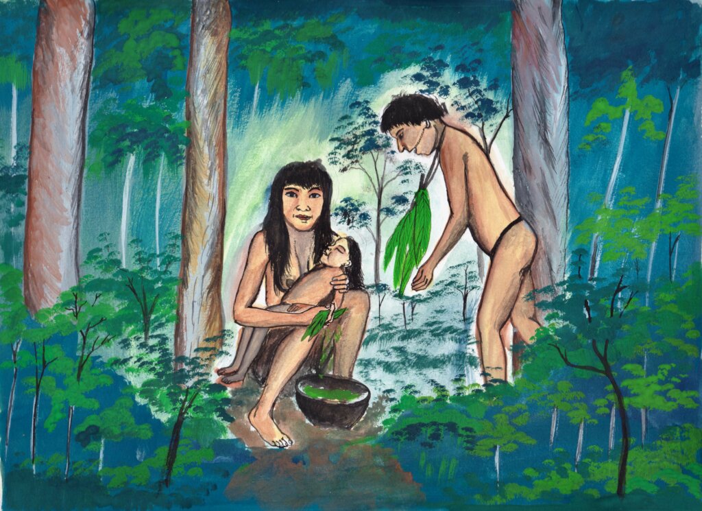 Matses traditional healing